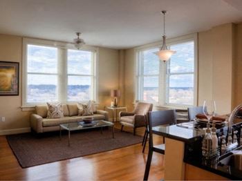 Large double-pane windows